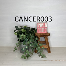 Load image into Gallery viewer, Interchangeable Square Inserts - Cancer