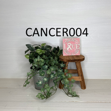 Load image into Gallery viewer, Interchangeable Square Inserts - Cancer